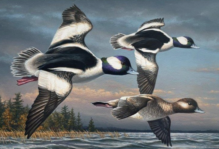 Read more about the article James Hautman: Winner of the 2023–24 Federal Duck Stamp