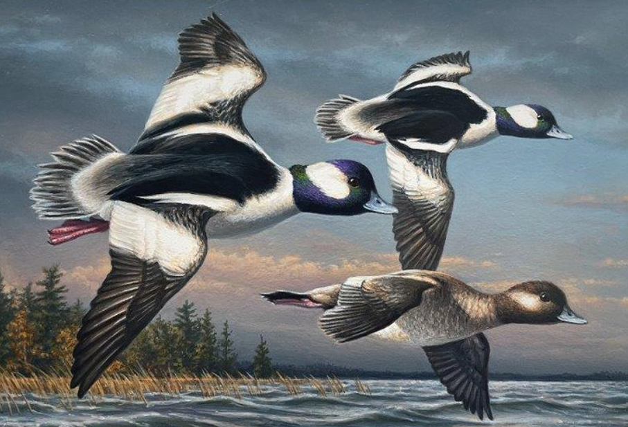 Read more about the article James Hautman: Winner of the 2023–24 Federal Duck Stamp